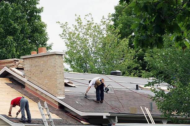 Professional Roofing Contractor in Forest Hills, PA